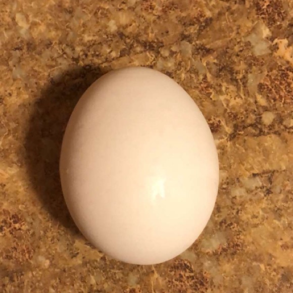 Meet your Posher, Devindra - Picture 1 of 1